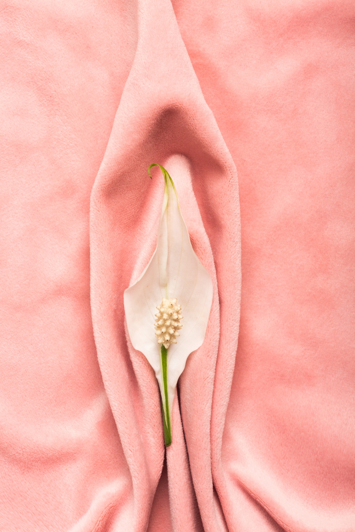 Labiaplasty