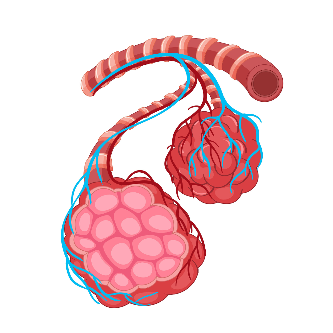 Tumor detected during imaging or cystoscopy